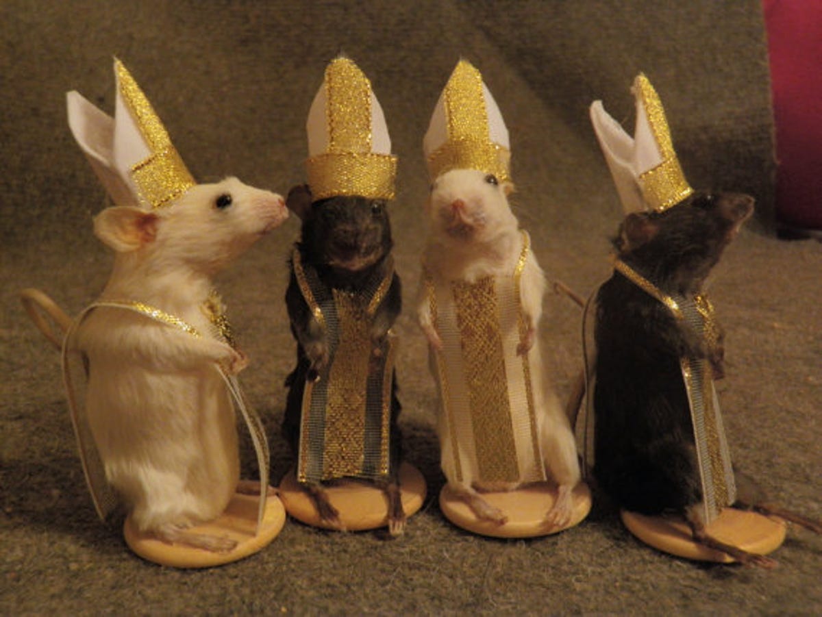 These taxidermy mice bishops are the artist Rachael Garcia's favorites of the chess set, who sewed their tiny hats and costumes herself.