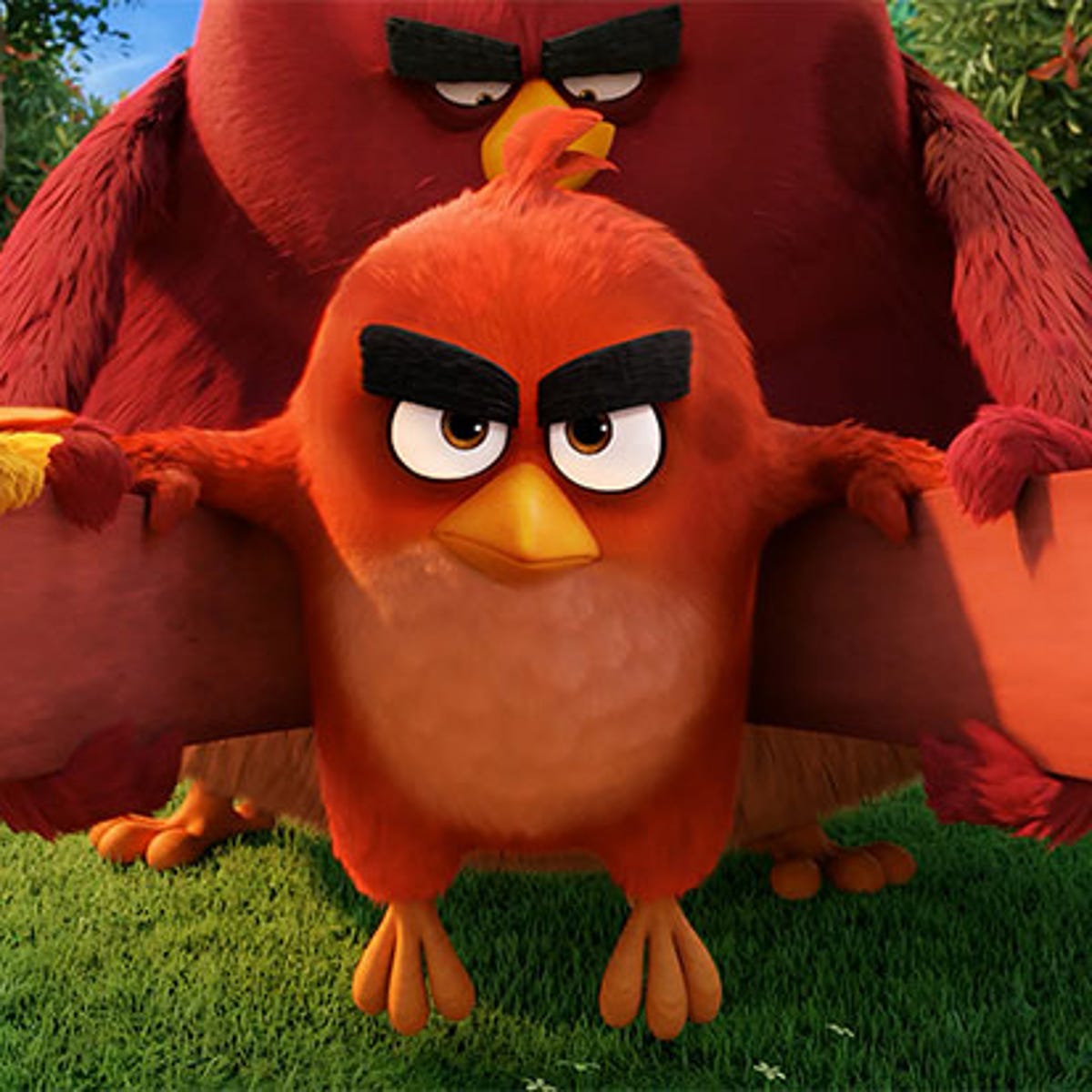Angry Birds CEO on the success of the franchise and what's coming ...