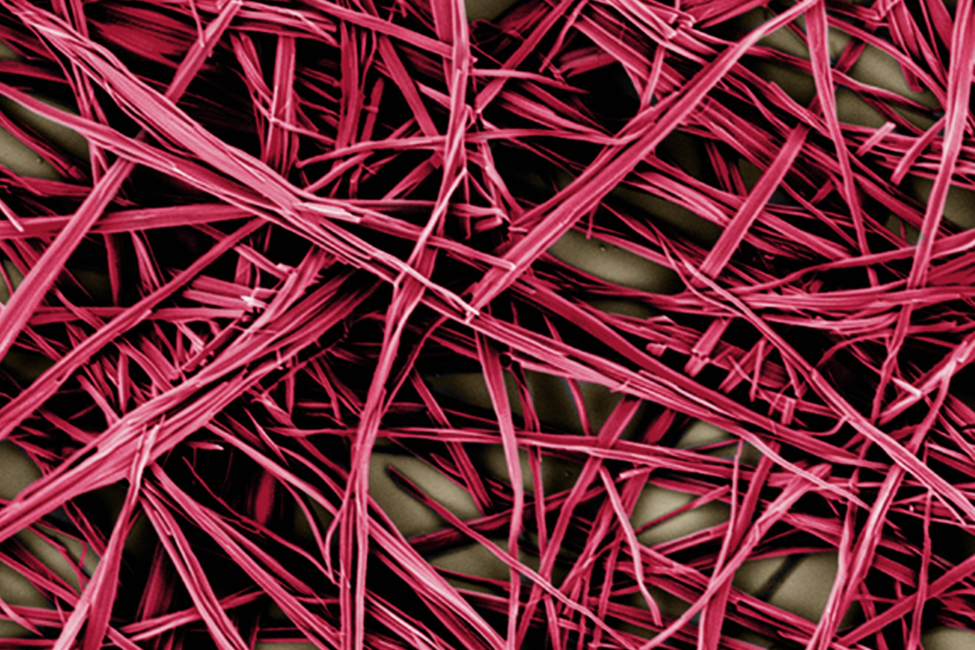 Gentex Nanofibers - up close