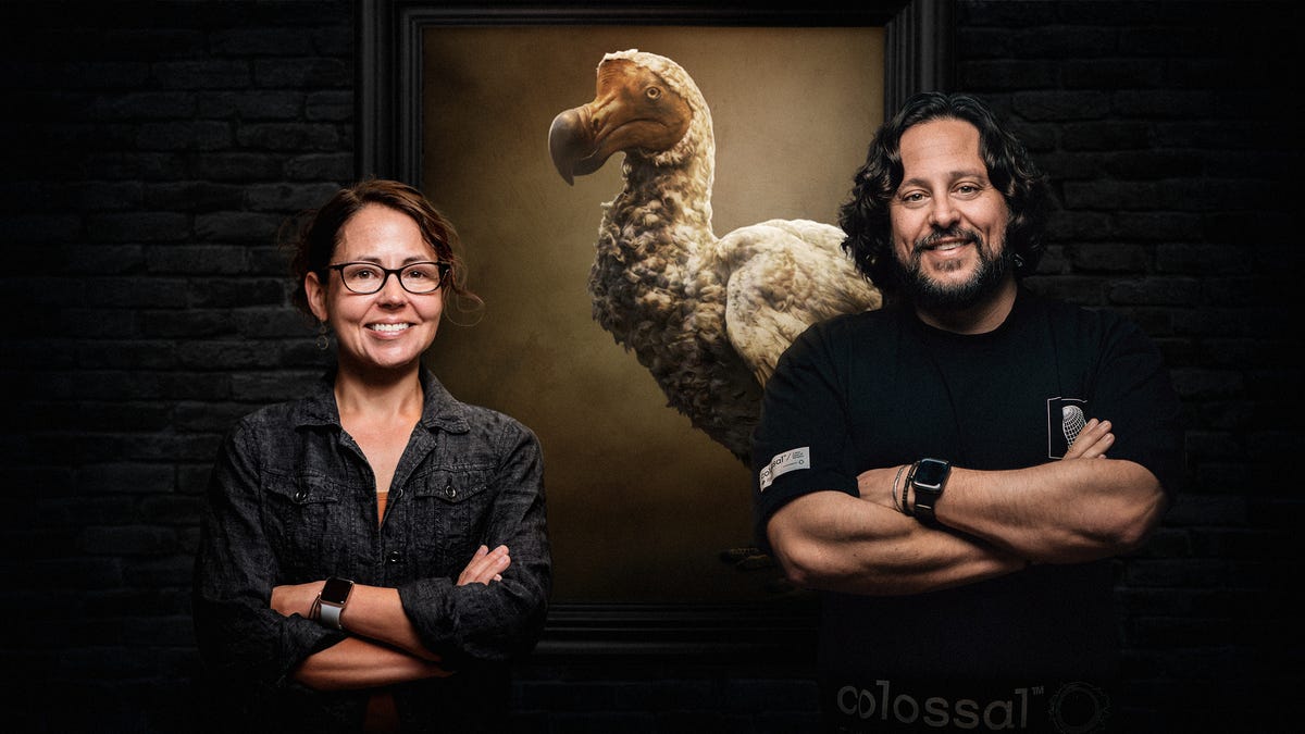 woman in glasses stands with arms folded next to a man doing the same, behind them an illustration of a dodo is lit