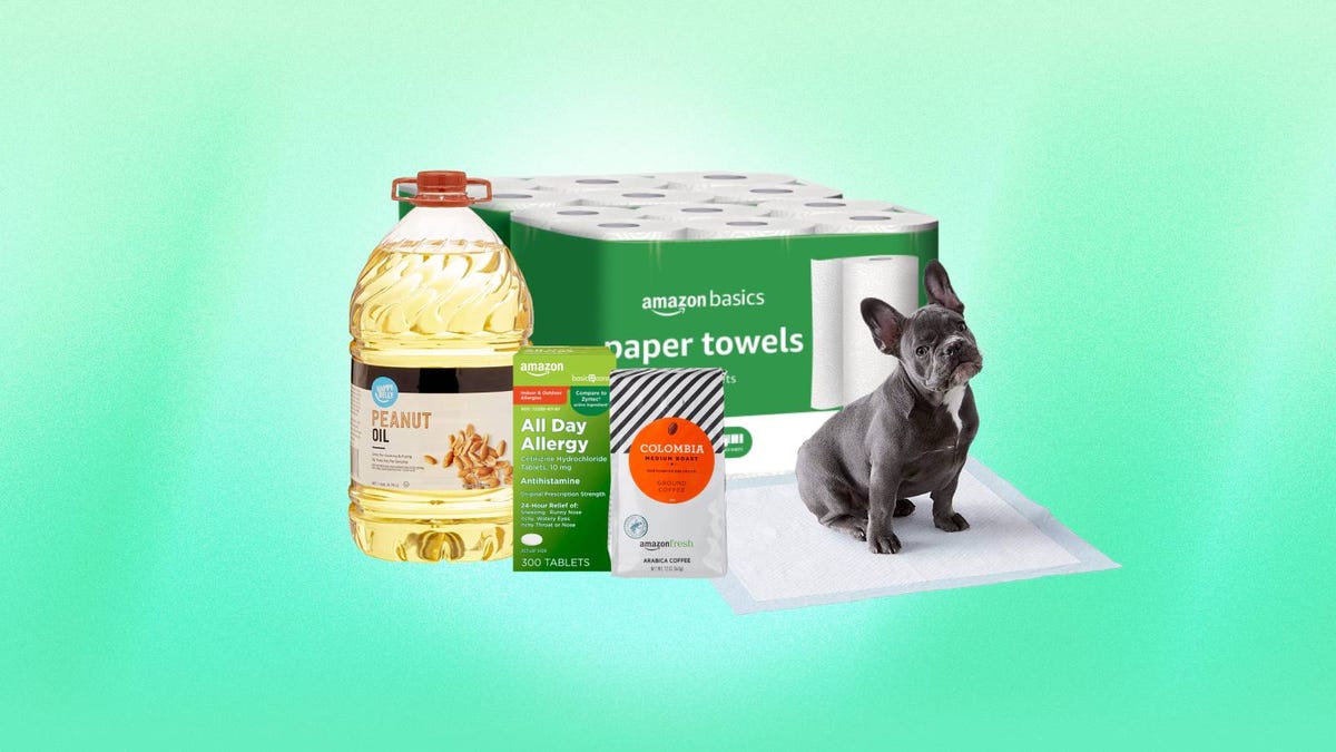 Amazon basics oil, allergy medicine, coffee, paper towels and a dog against a green background.