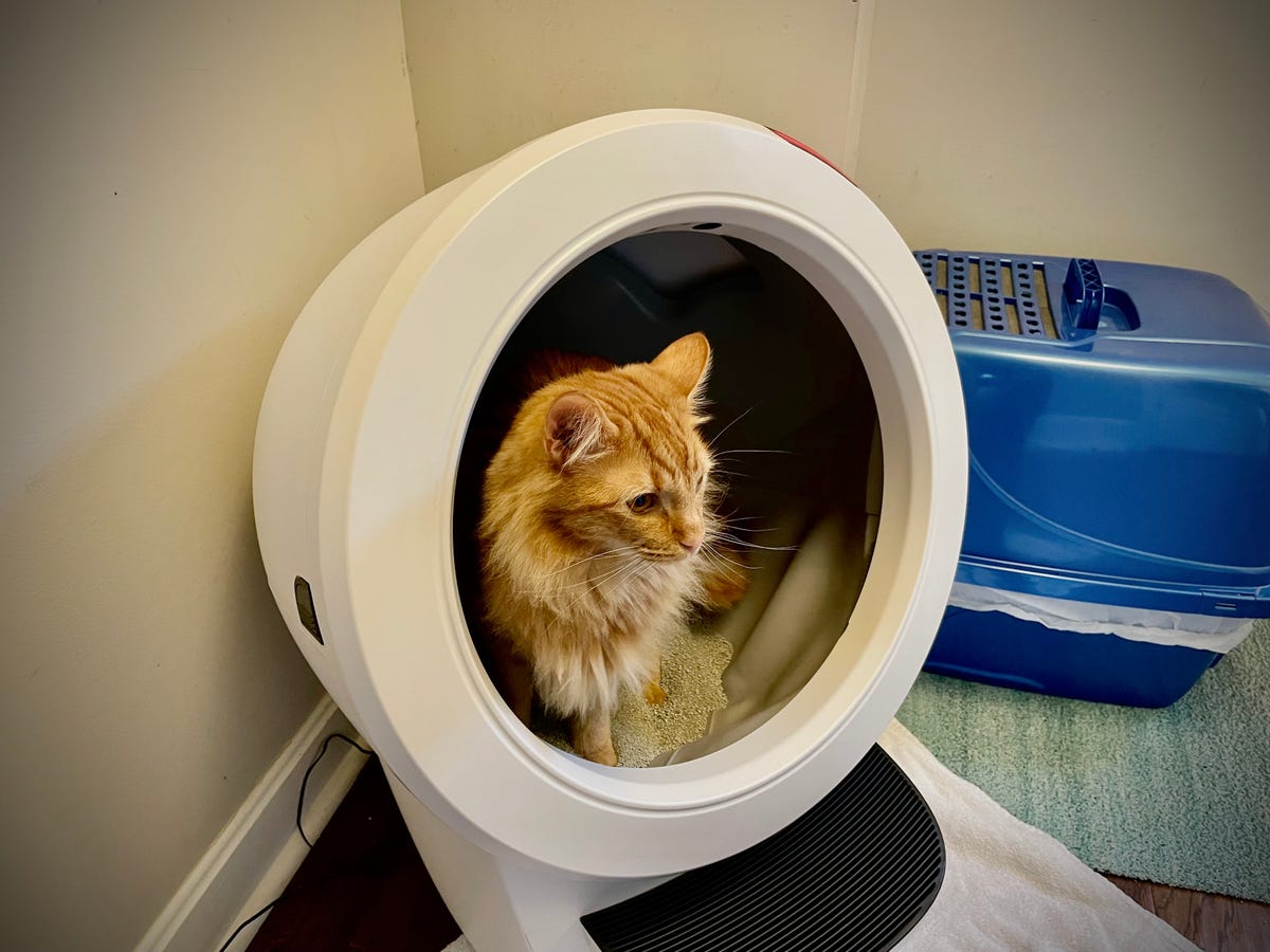 An orange cat sits inside of the Whisker Litter-Robot 4, a robotic litterbox that automatically sifts pet waste into a drawer for easy cleanup.