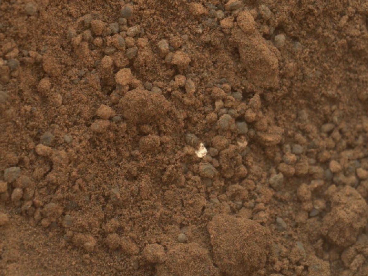 Bright object appears as a white speck in brown Mars soil.
