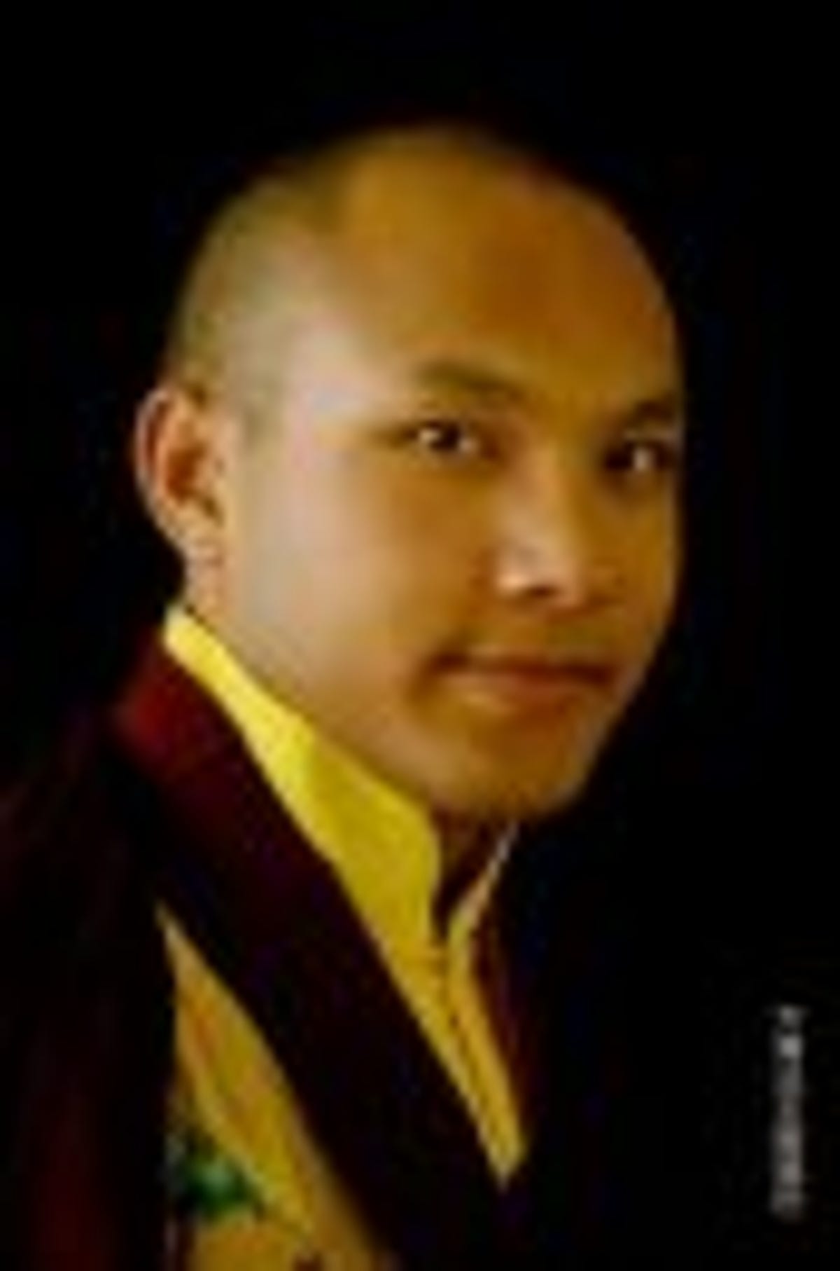 17th Karmapa, Ogyen Trinley Dorje