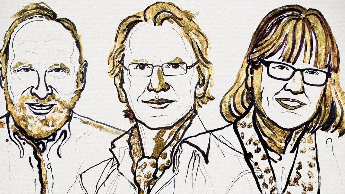Arthur Ashkin, Gerard Mourou and Donna Strickland will get the Nobel Prize in Physics for 2018.