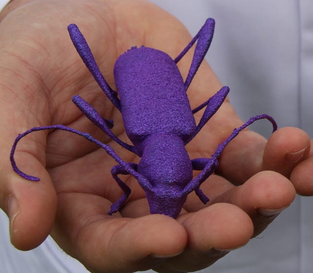 Printed purple bug