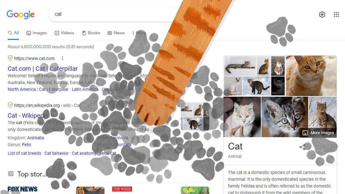 An orange cat leg reaches out to leave a paw print across the Google search results for "cat."