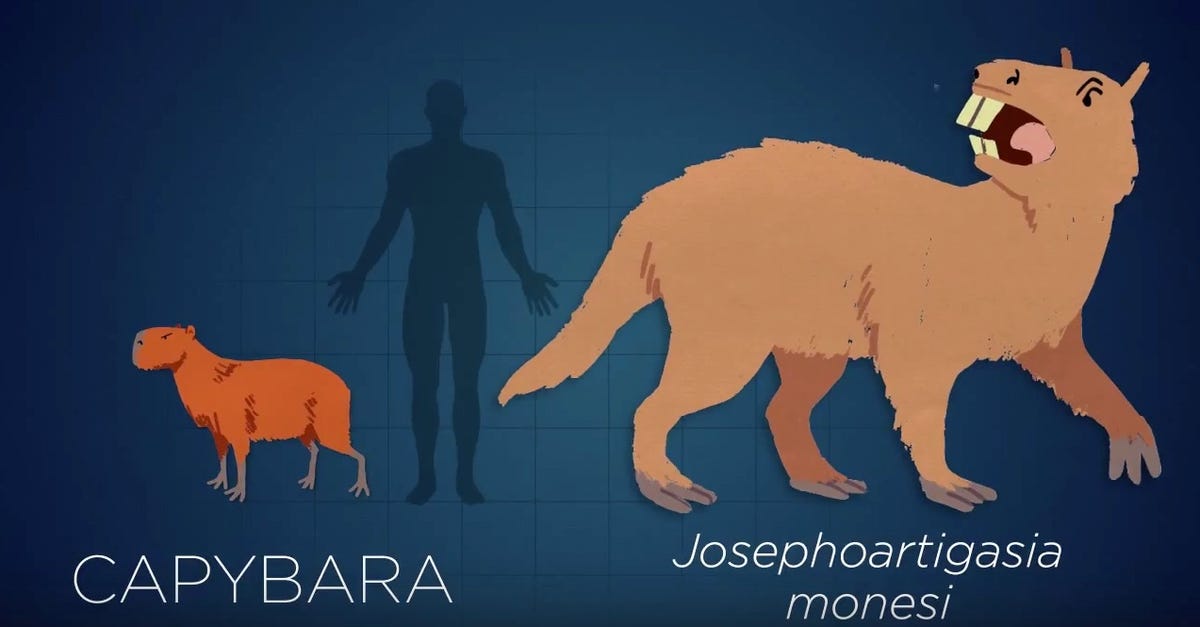 Evolution, in rhyme: Beasts great and small and their cousins big and tall  - CNET