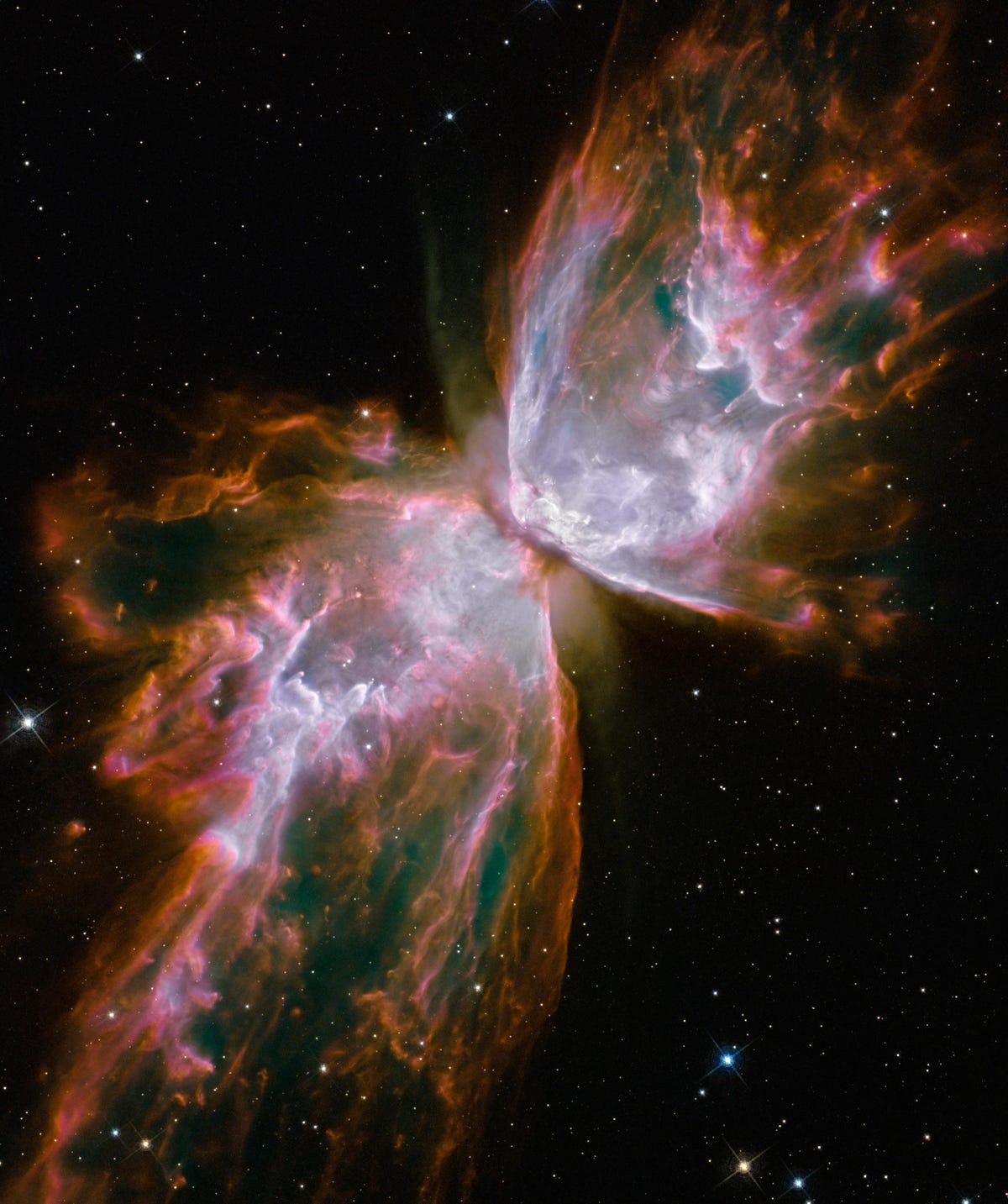 HubbleButterfly_1.jpg