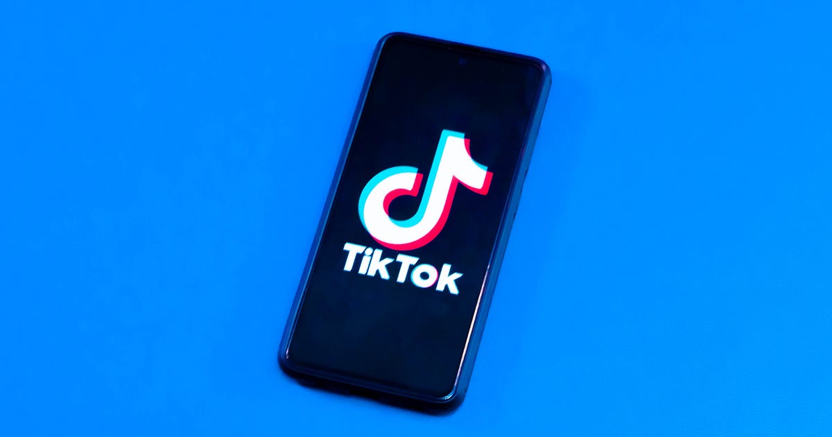 TikTok CEO Will Urge Against Ban, Say It Has Solutions to Data Concerns