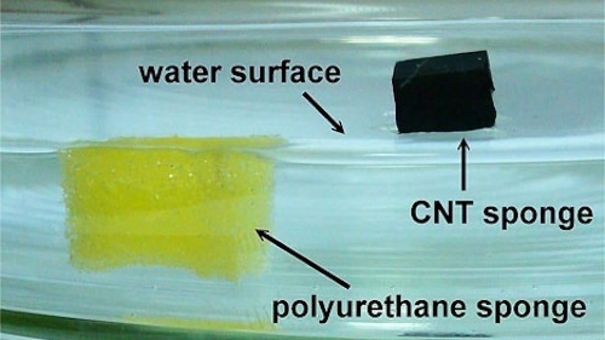 Carbon nanotube sponge