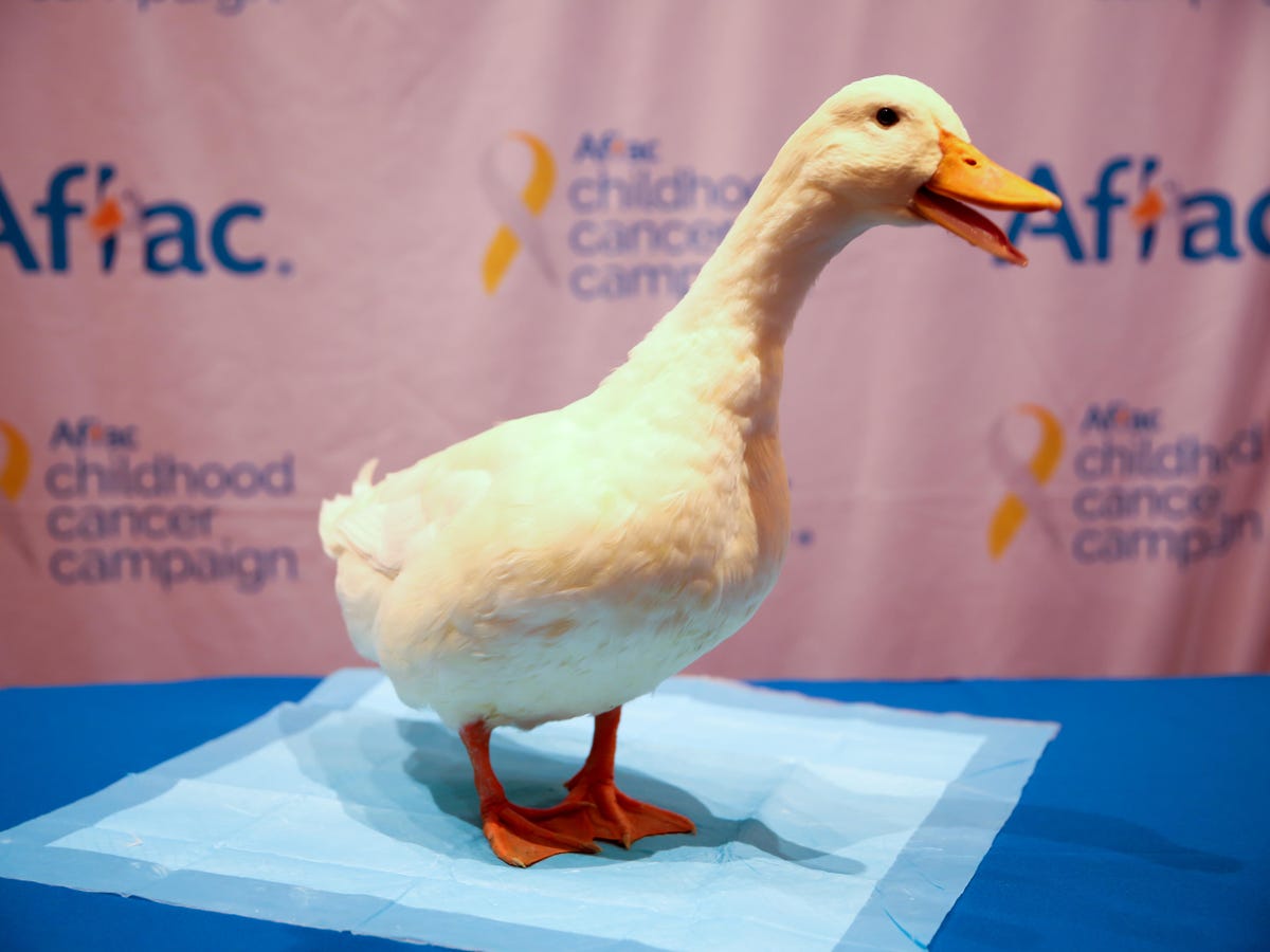 my-special-aflac-duck-product-photos-1
