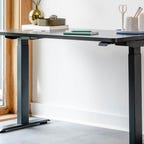 Image of Branch Duo standing desk