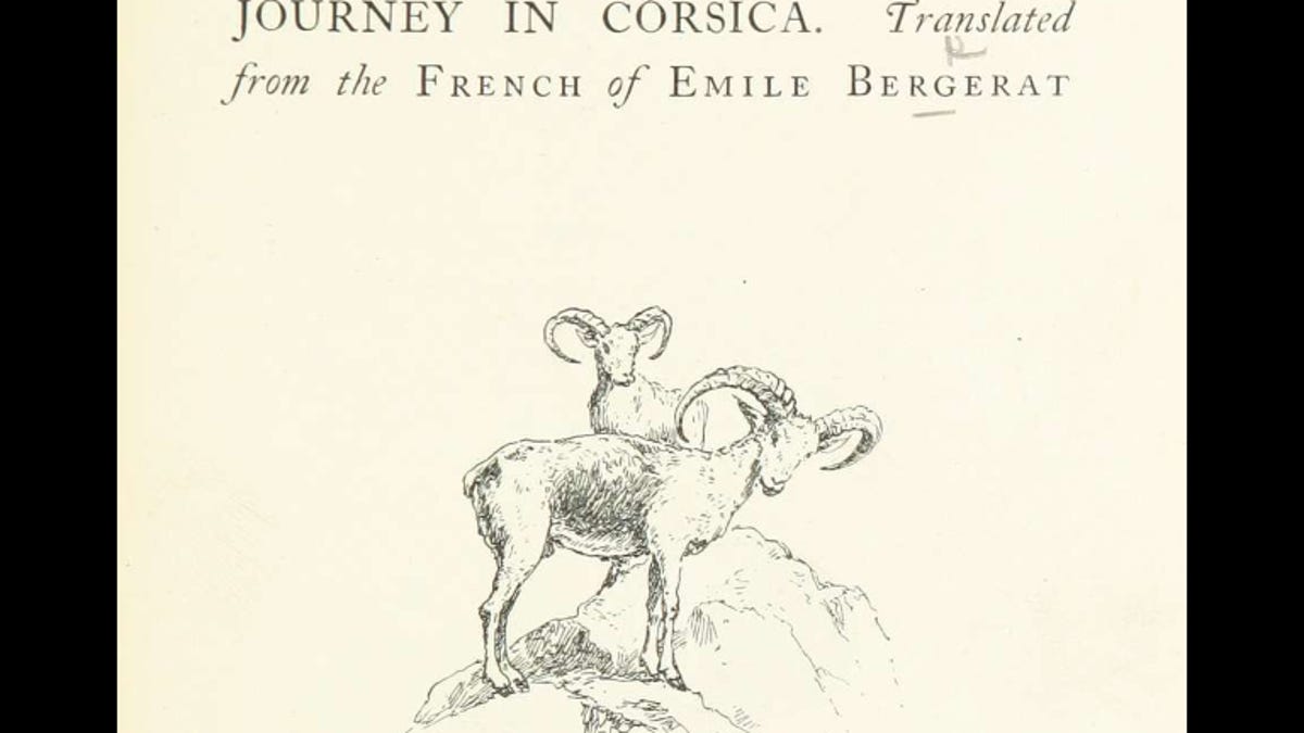 British Library 19th Century Books "A Wild Sheep Chase"