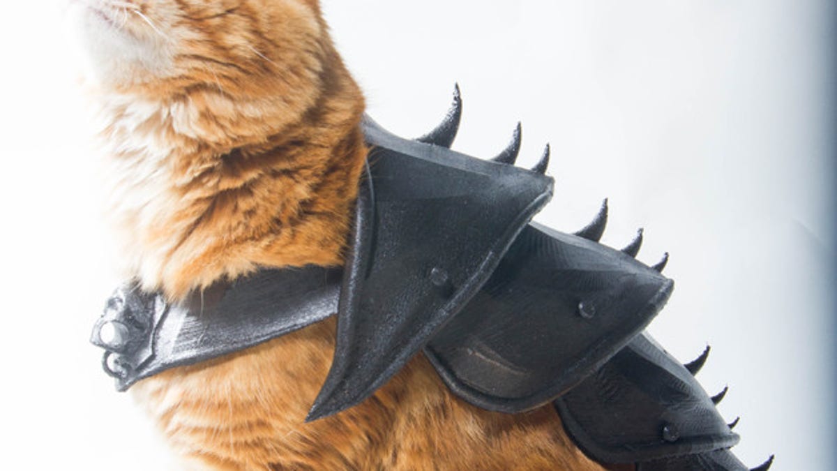 Cat armor