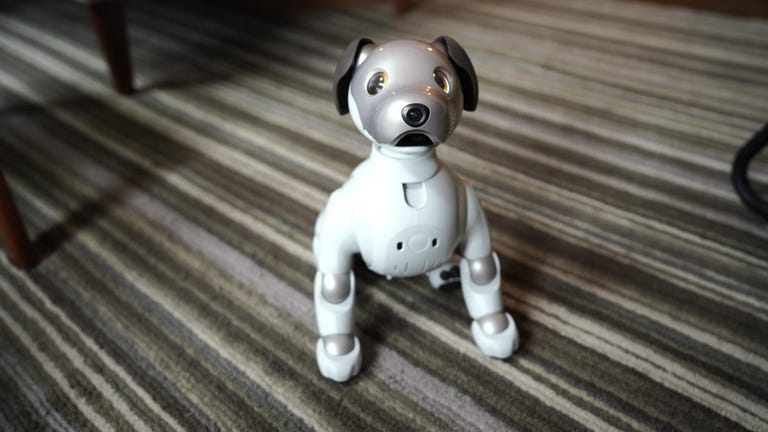 aibo-owners0