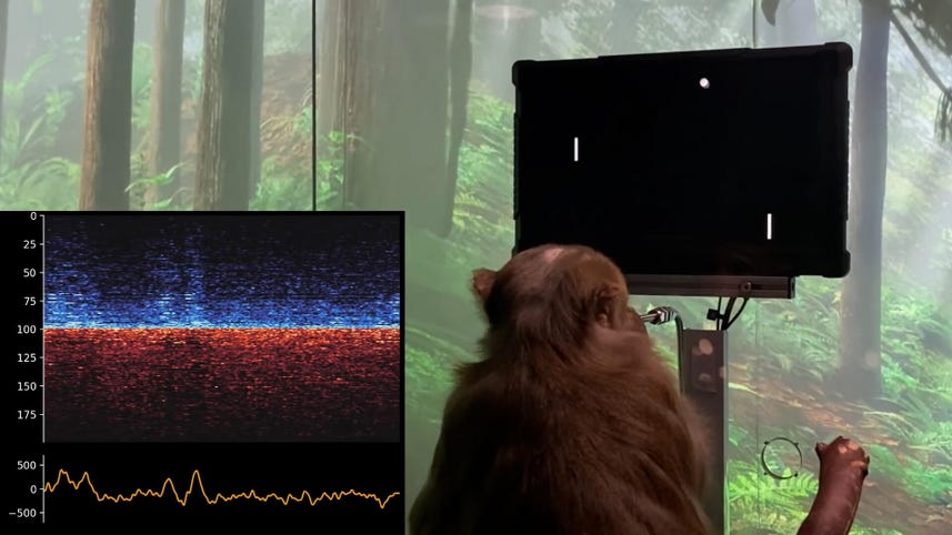 Neuralink's latest monkey brain chip demo explained