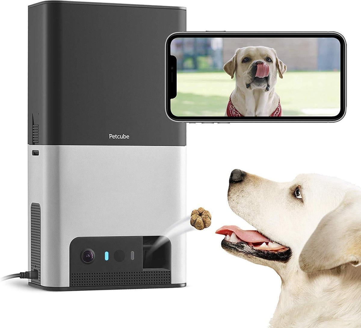 wifi-pet-camera-treat-dispenser-walmart-chowhound