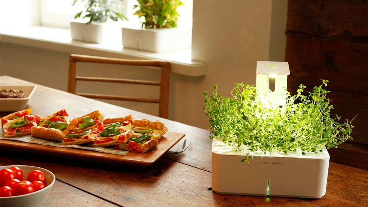 Spruce up the smart garden with the Grow Light from Click & Grow.