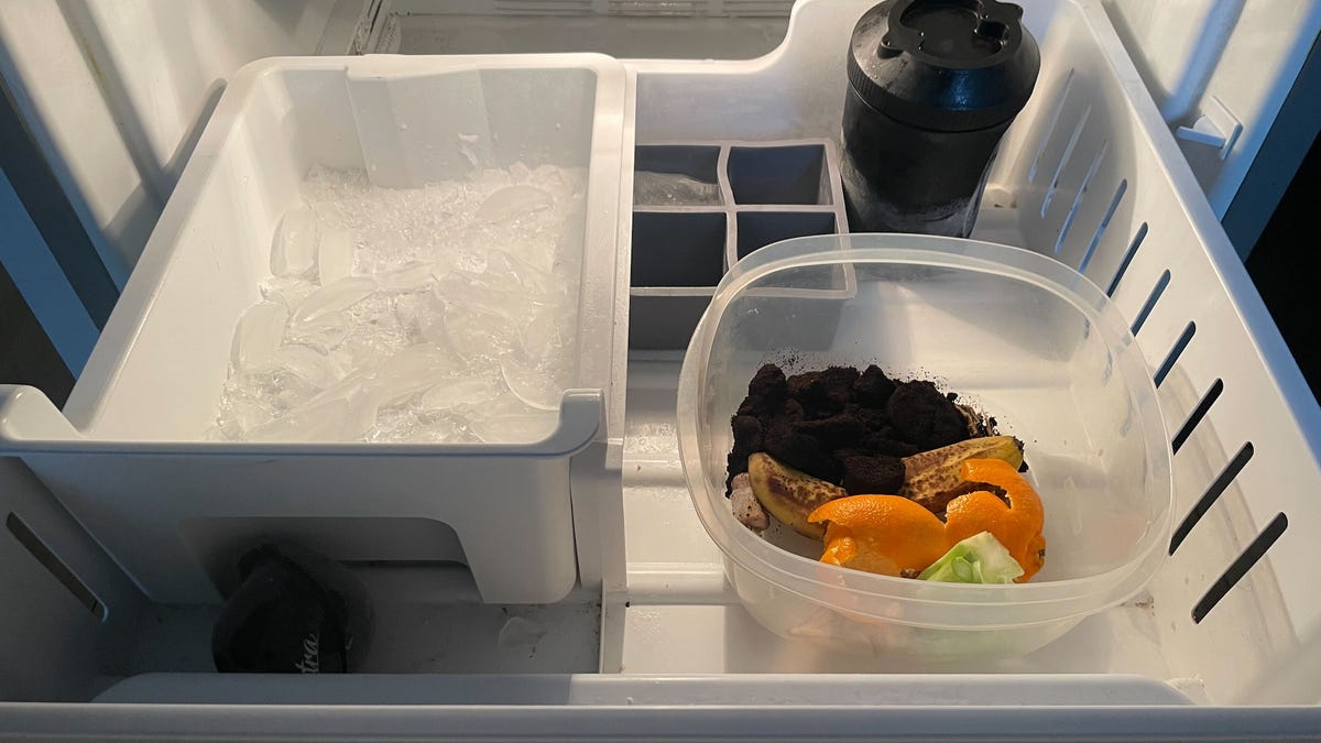 compost scraps in plastic bin in freezer
