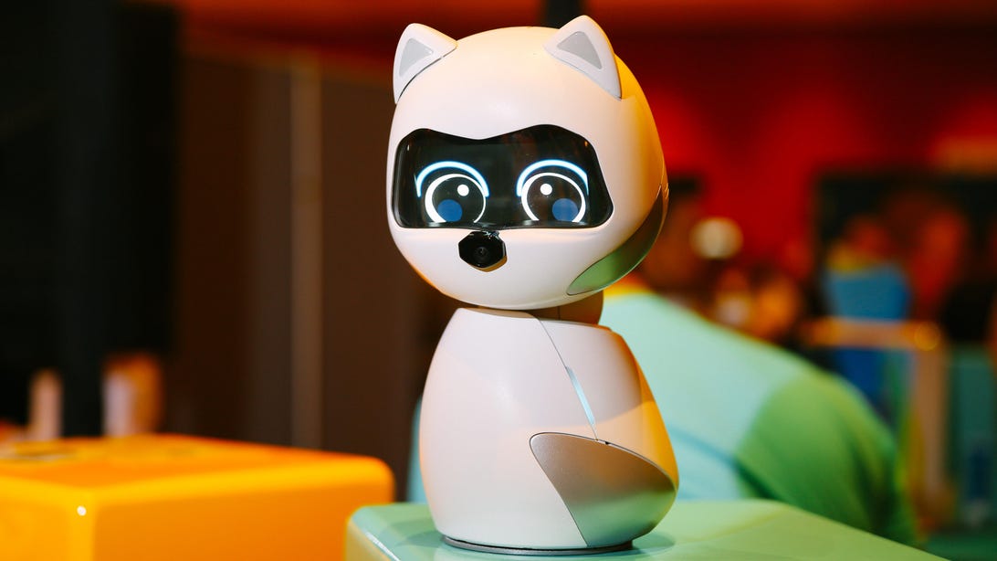 Kiki the pet robot wants to be your best friend and doesn’t shed fur