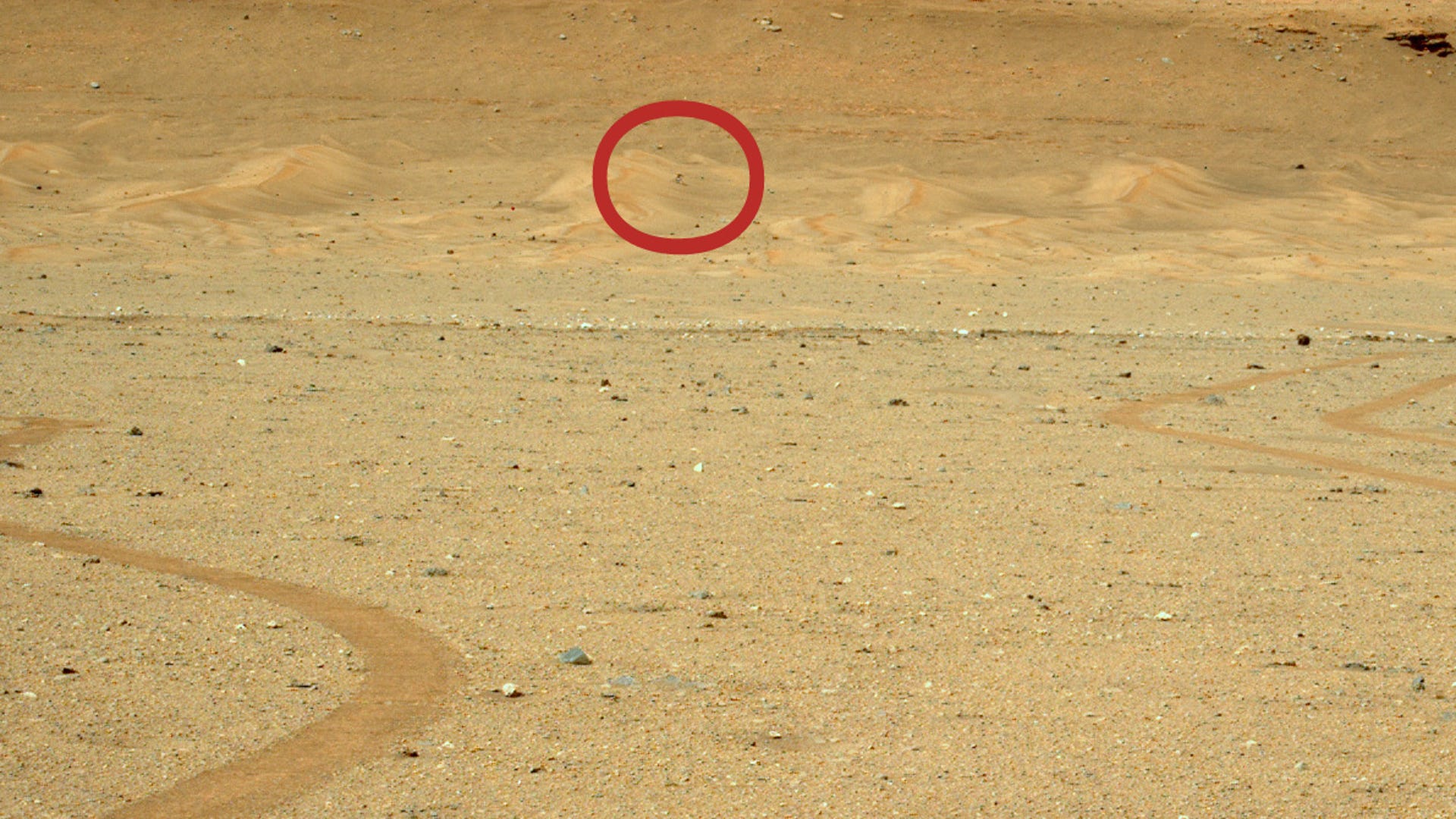 Large expanse of rocky, flat Martian landscape with a series of sand dunes in the distance. Ingenuity helicopter marked by a red circle.