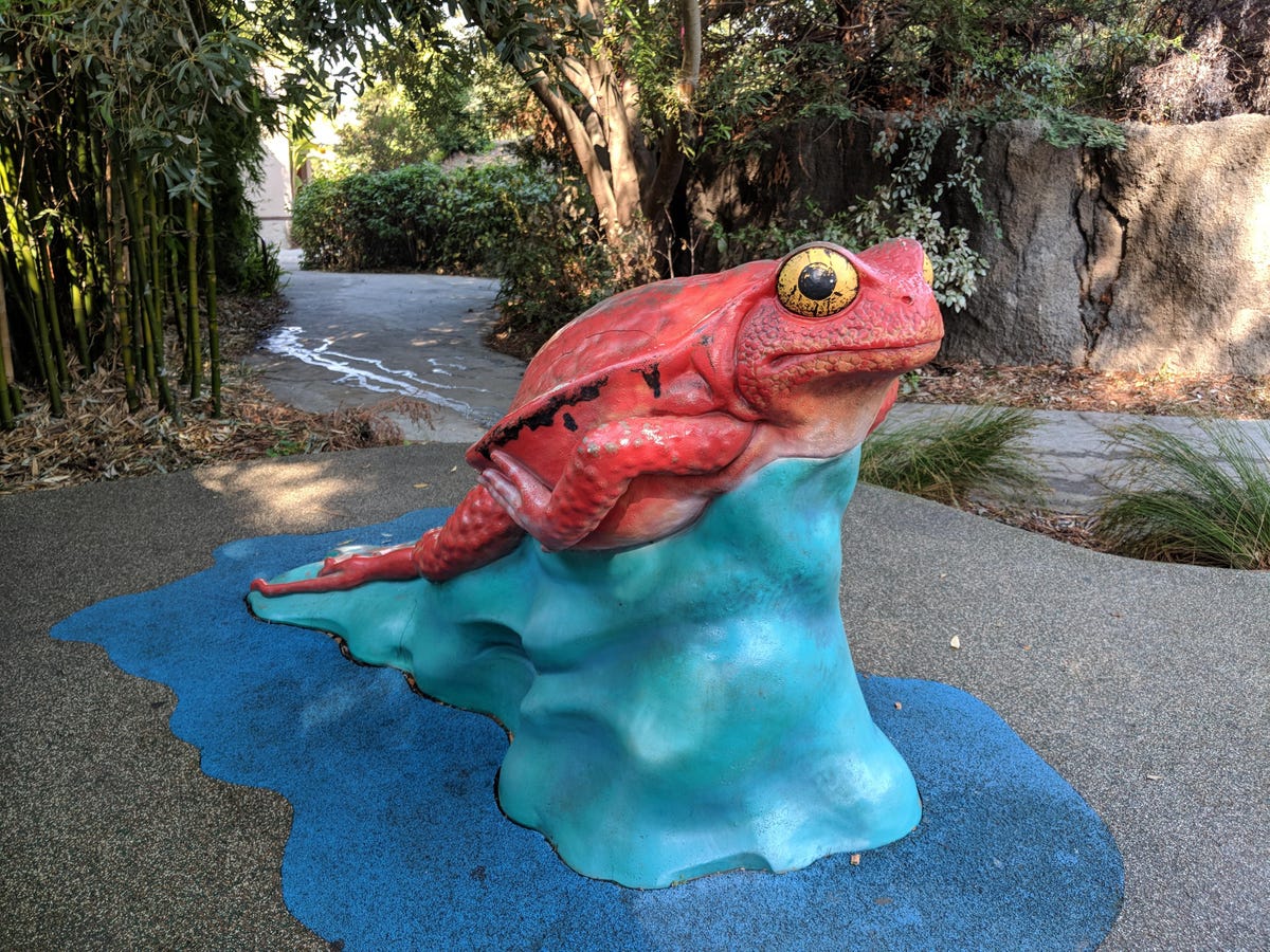 google-pixel-2-camera-frog