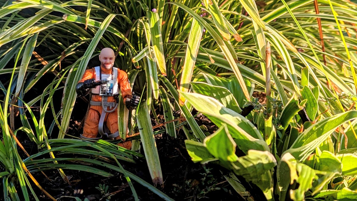 An action figure with the writer's ruggedly handsome face in the tall grass