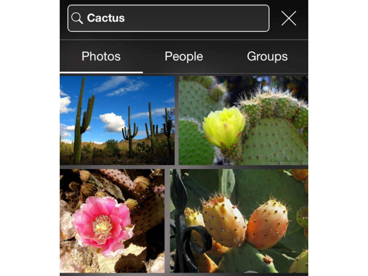 flickr-ios-search.png