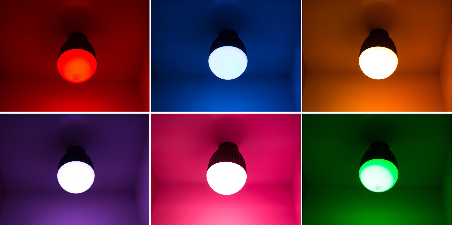 misfit-bolt-led-color-grid.jpg