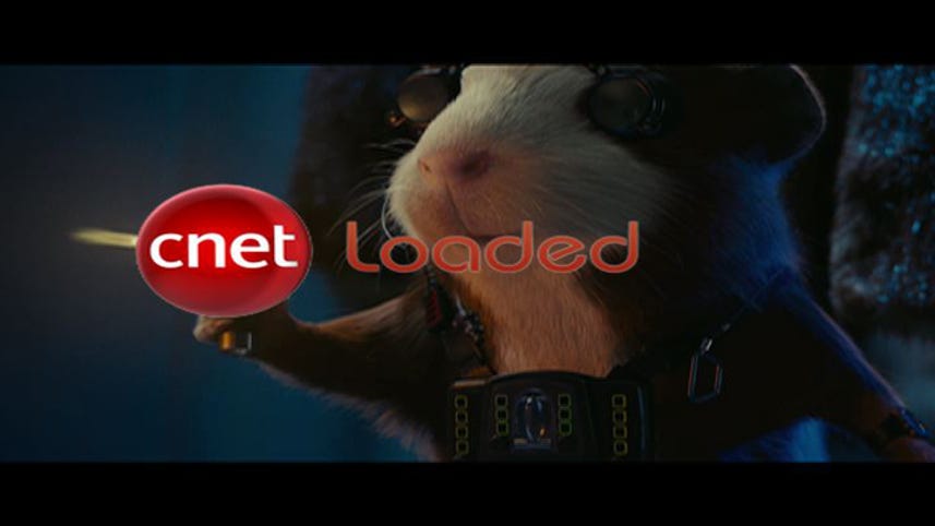 Loaded: Guinea pigs undercover