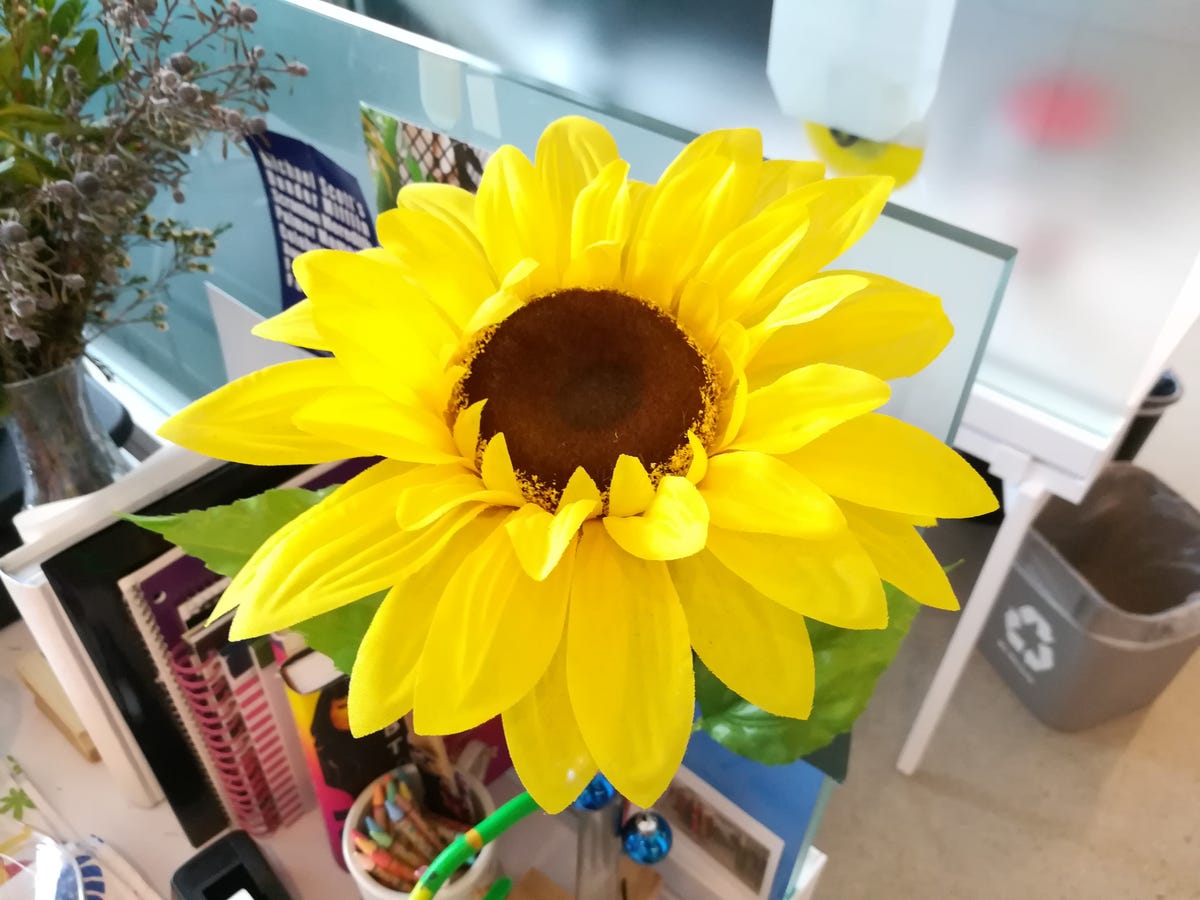 honor6xcam-sunflower.jpg