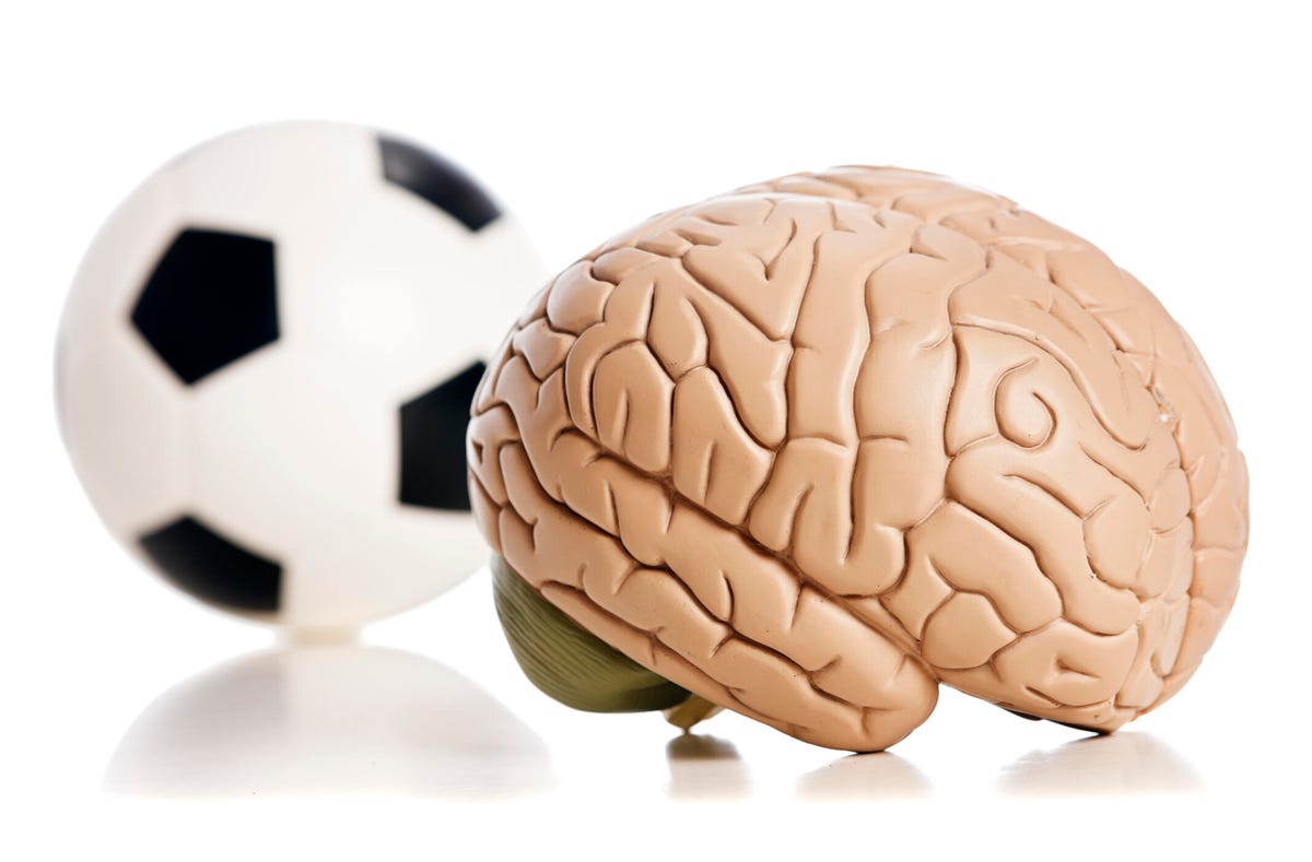 Model brain with soccer ball.