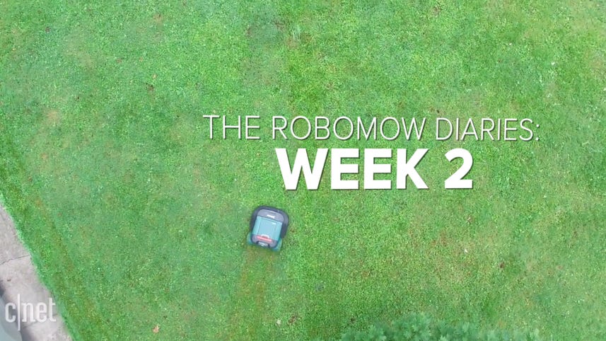 The Robomow Diaries: Robot lawnmower attracts neighbors, scares dogs