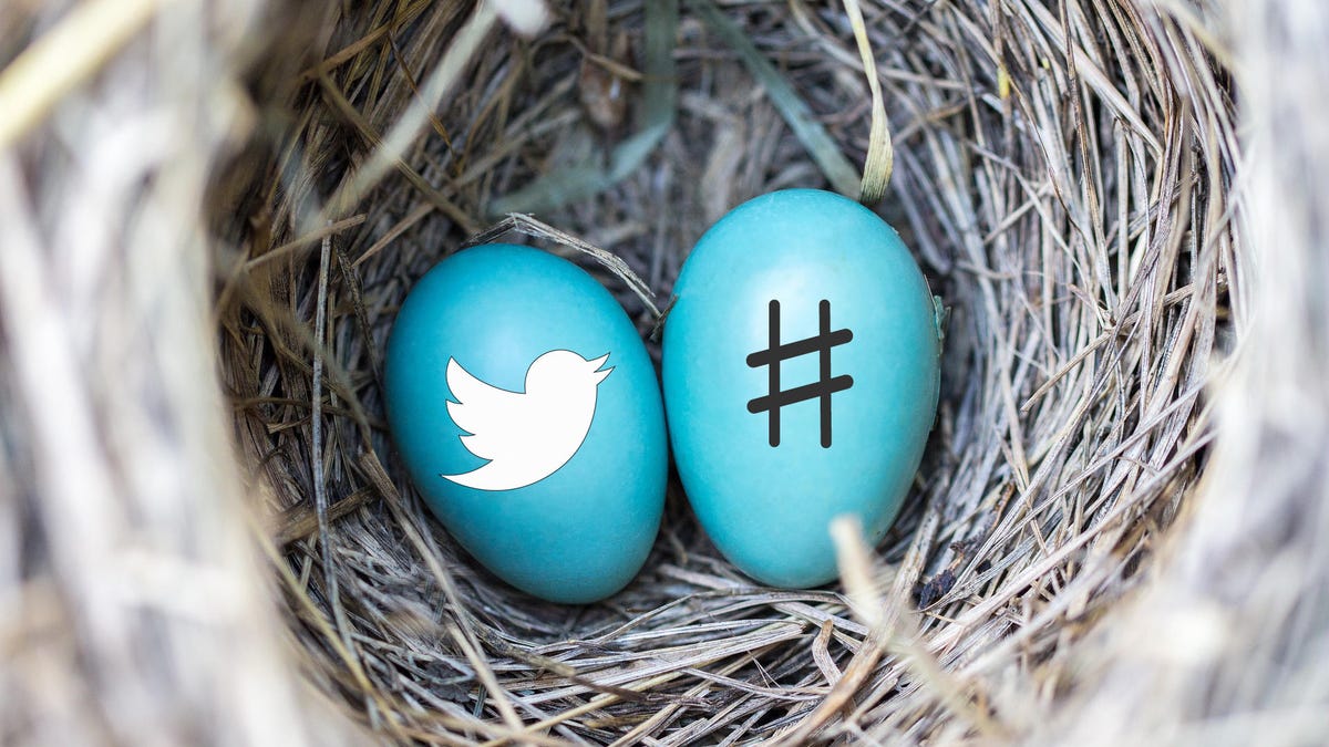 twitter-logo-hashtag-blue-eggs-nest