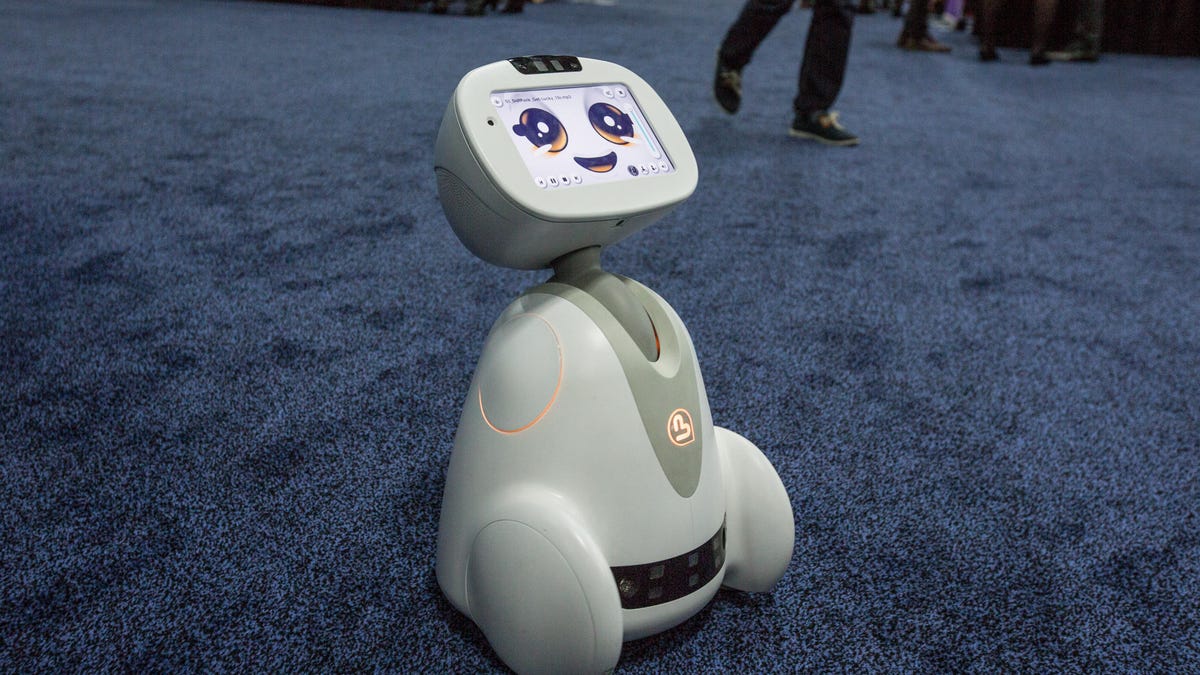 Робот бади. Домашние роботы. Робот buddy. Робот Маус. Робот Бадди для пожилых людей.
