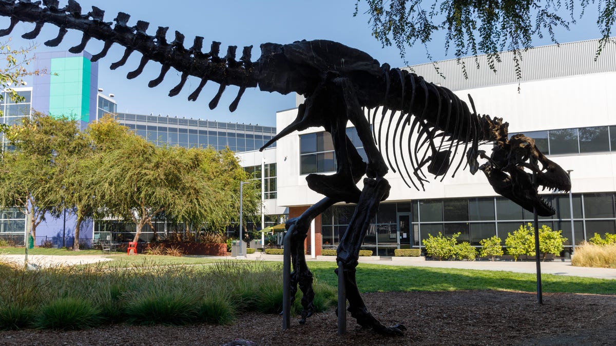 T-Rex at Google headquarters in Mountain View, California