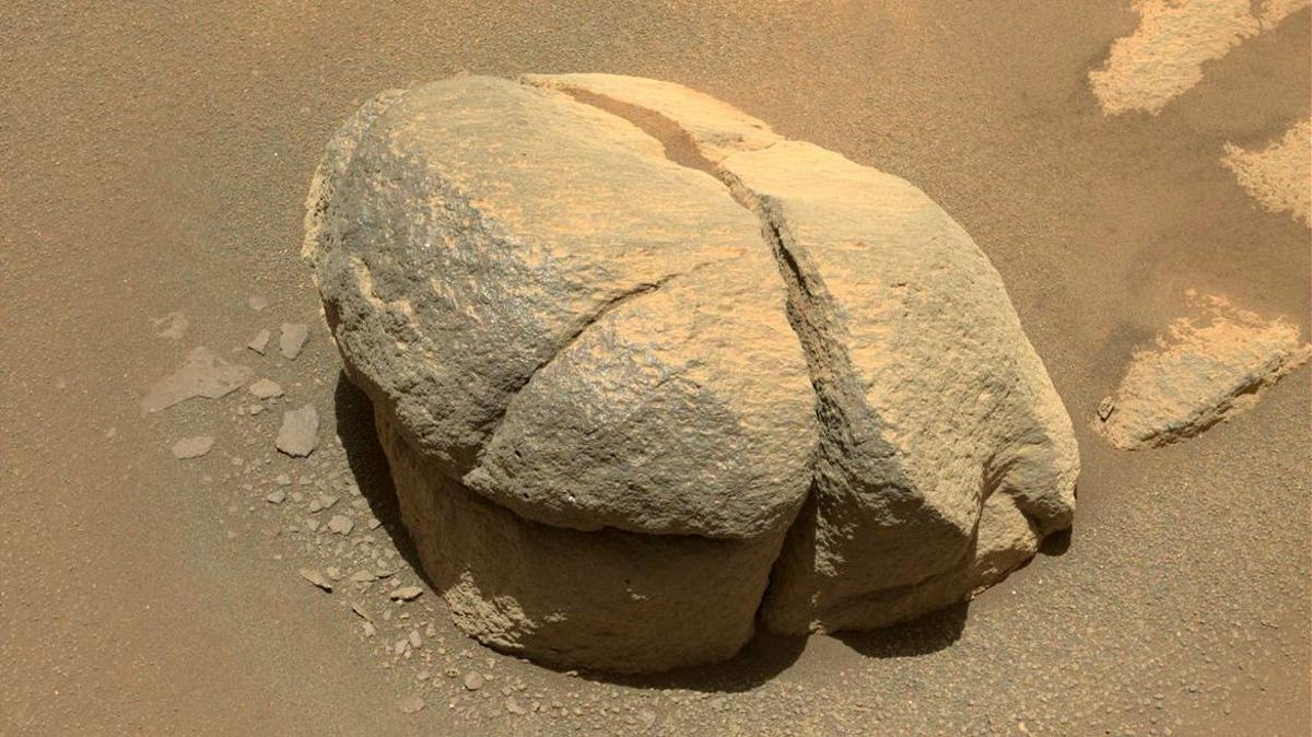 Beige-ish rounded rock with a crack in the middle.