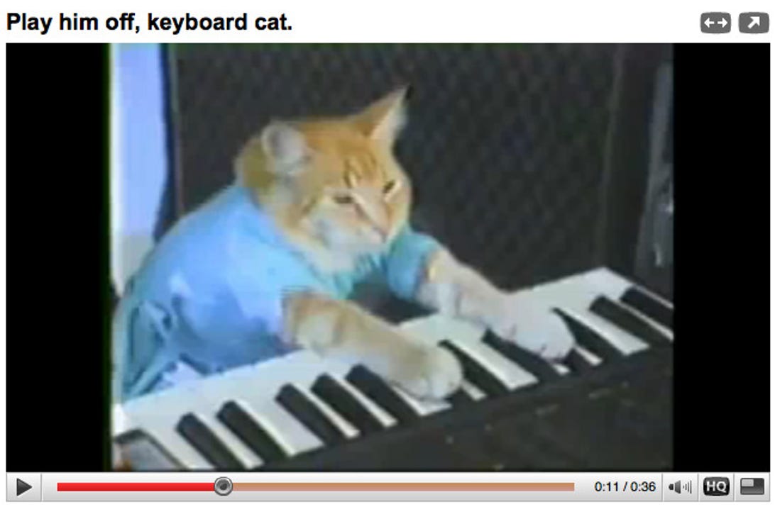 keyboardcat.jpg