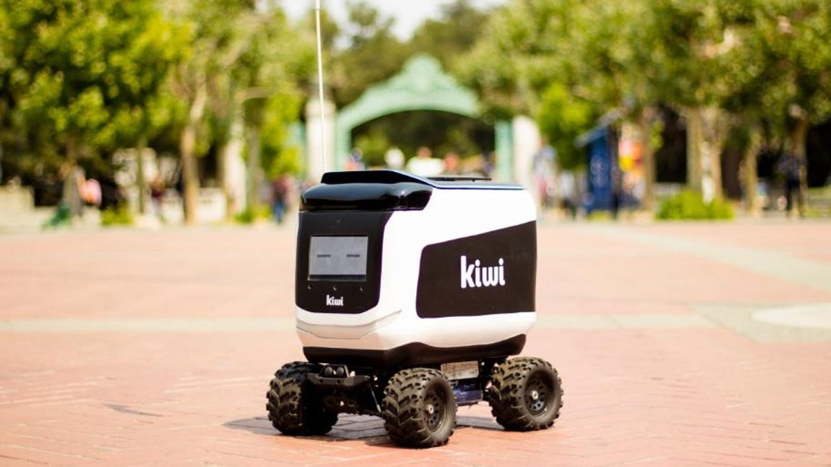 kiwibot-robot2