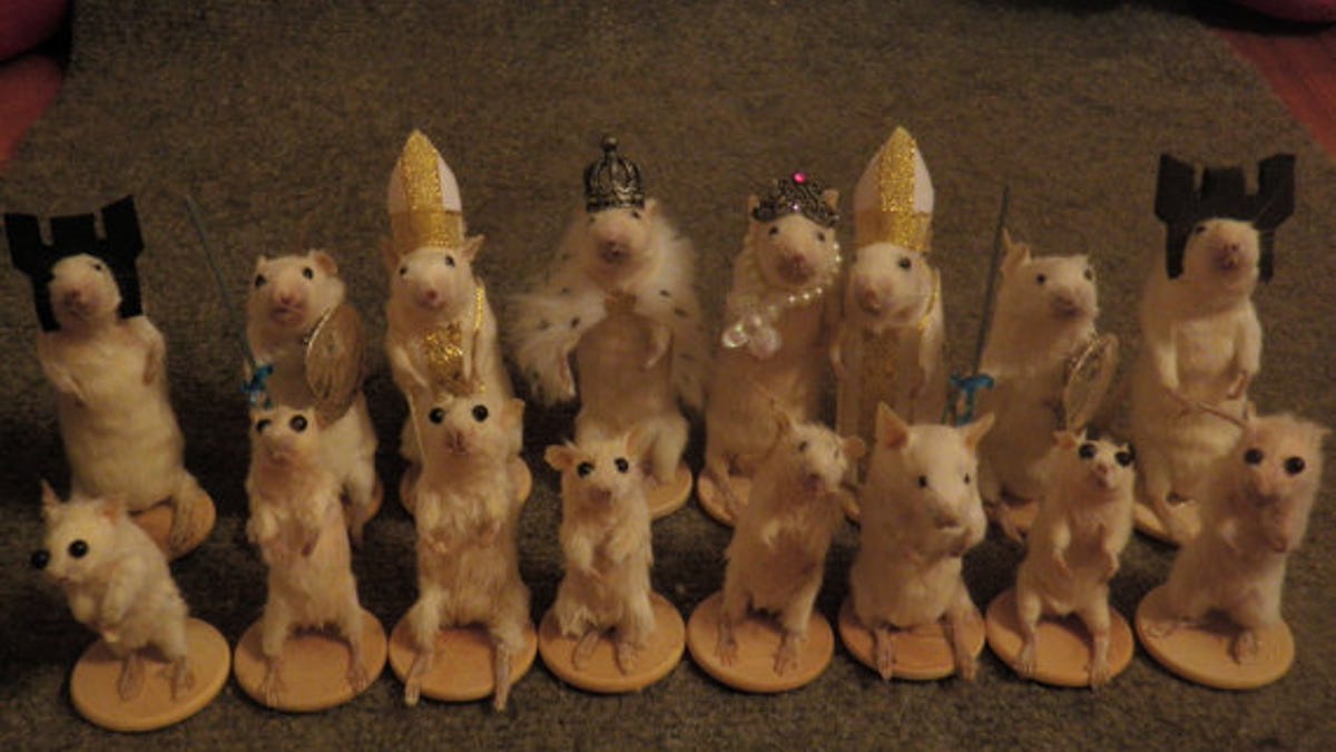 Why play with a traditional chess set when you can pet this one made from taxidermy mice?