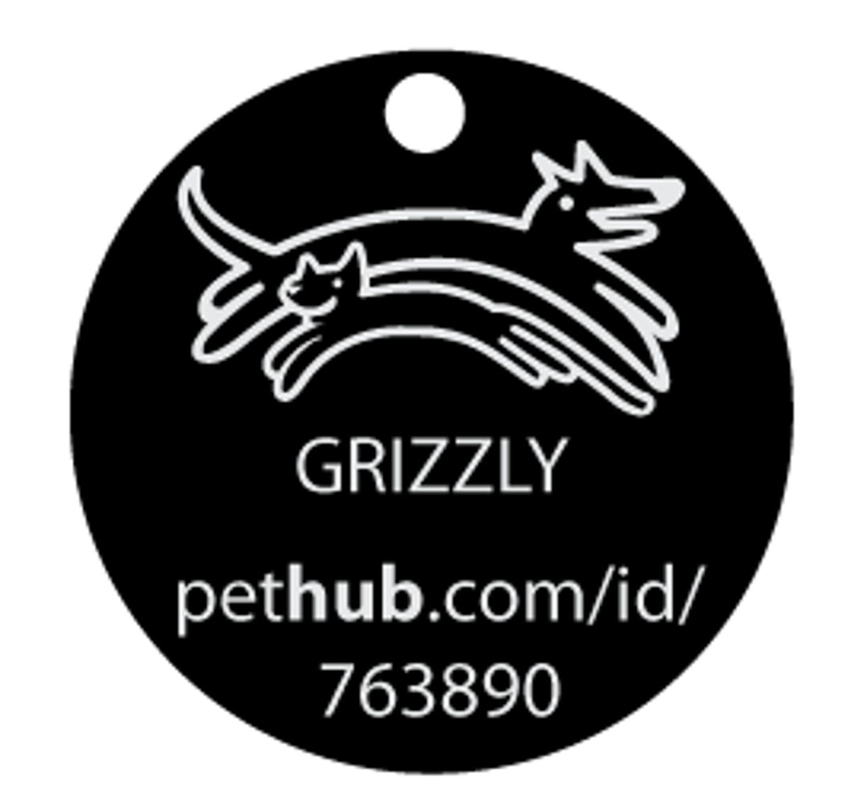 PetHub Link ID tag