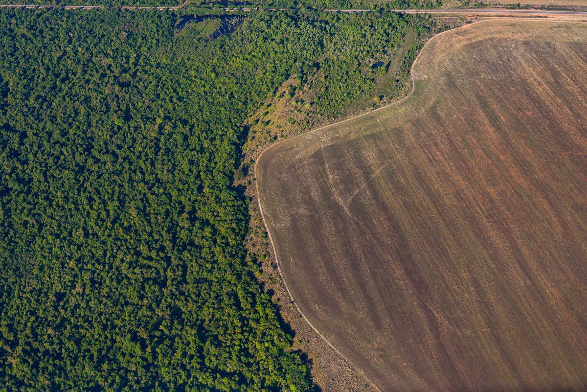 An aerial shot of deforestation of the Amazon rainforest.
