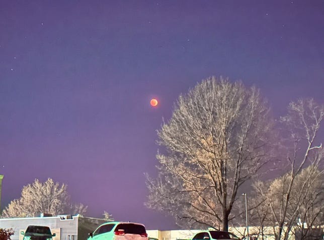 A purplish night sky with a red moon and a tree in the foreground