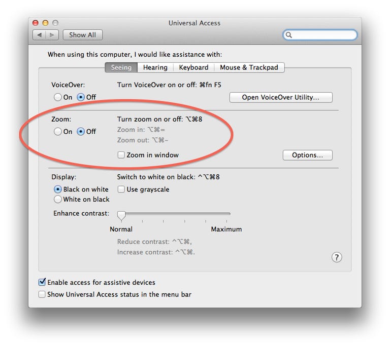 Universal Access system preferences