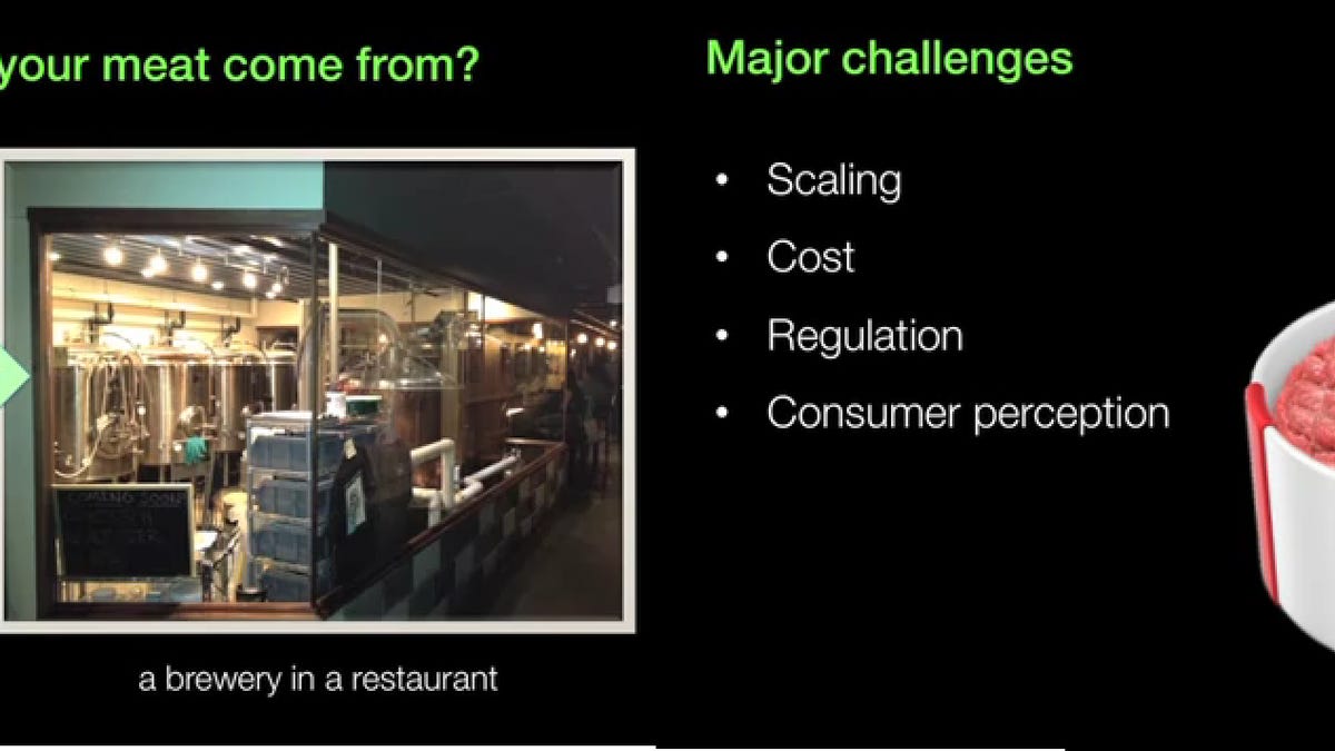 Slides prepared by startup Modern Meadow pitch 3D-printed meat as a more environmentally friendly approach to dinner.