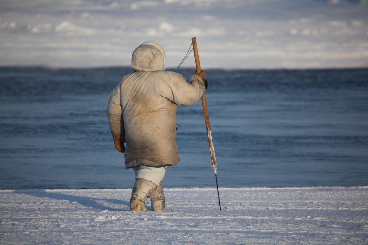 a-hunter-checks-the-ice-with-a-harpoon-near-a-polynya-traditional-tools-are-still-needed-for-ice-safety-in-addition-to-the