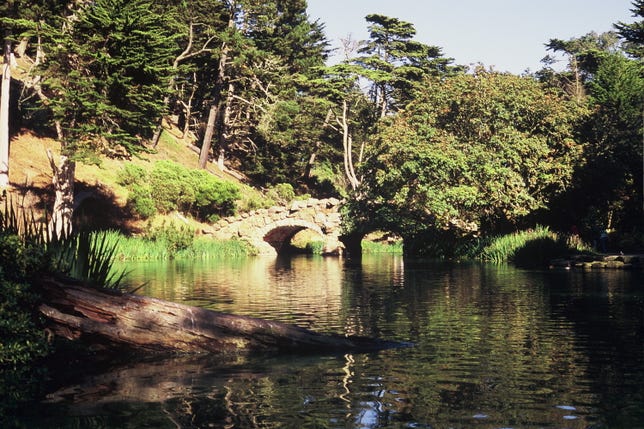 Golden Gate Park Stow Lake shot on Fujifilm Velvia slide film