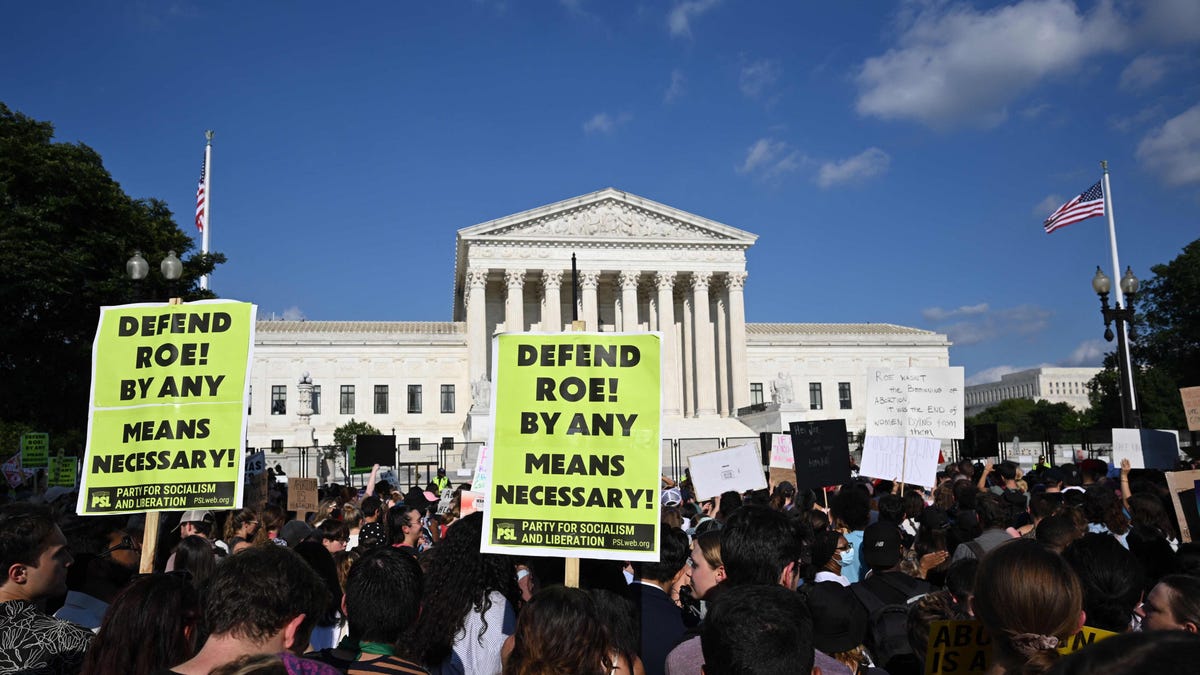A crowd holding signs outside the Supreme Court. The signs say "Defend Roe! By any means necessary!"