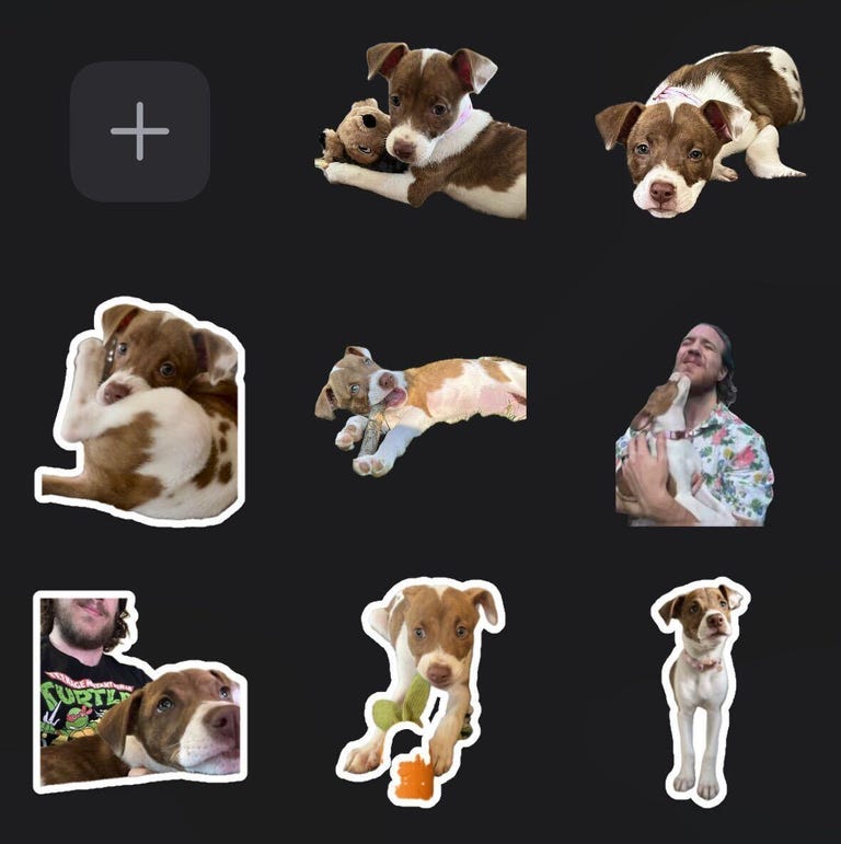 Digital stickers of a dog in iOS 17
